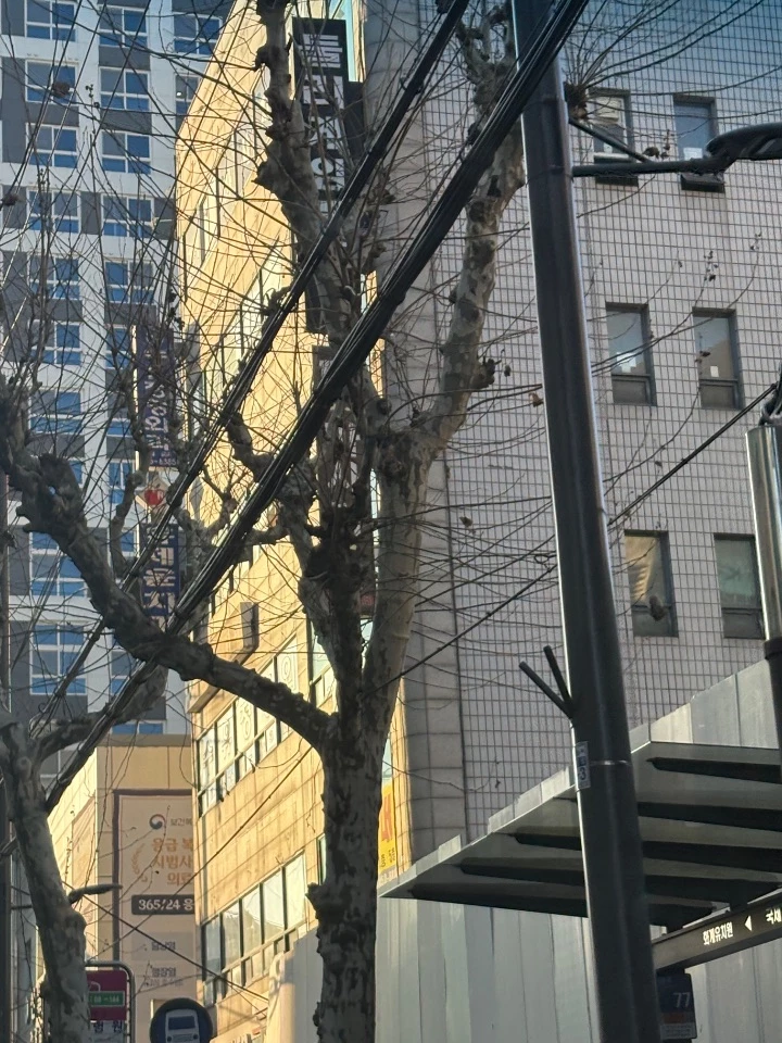 후기 이미지