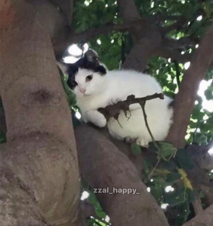 후기 이미지