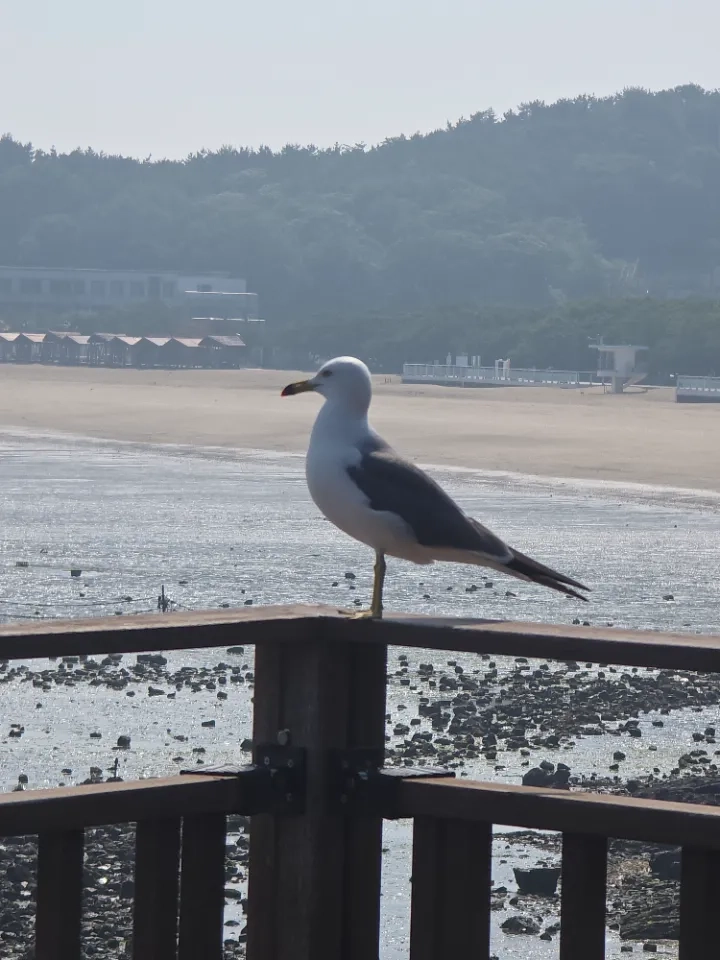 후기 이미지