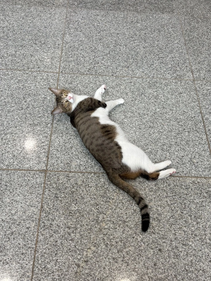 후기 이미지