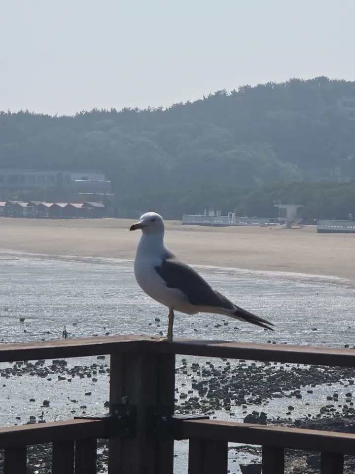 후기 이미지