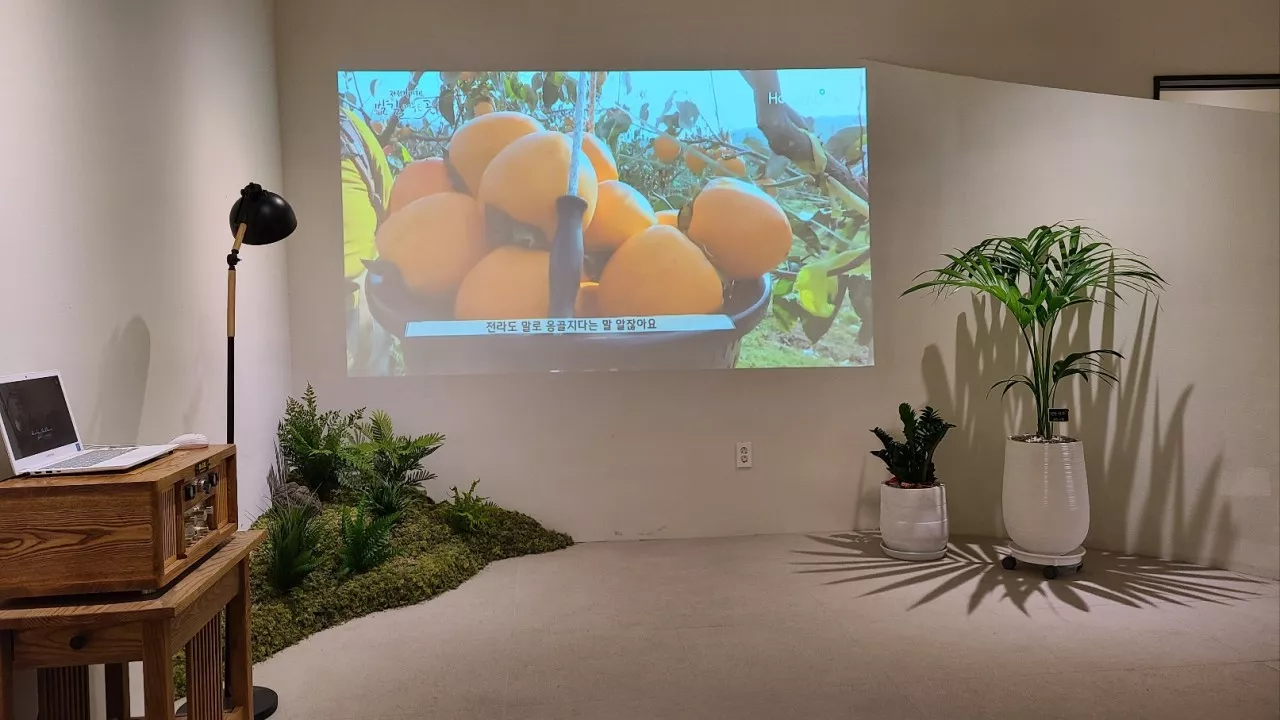 스파인자이 특징0_2